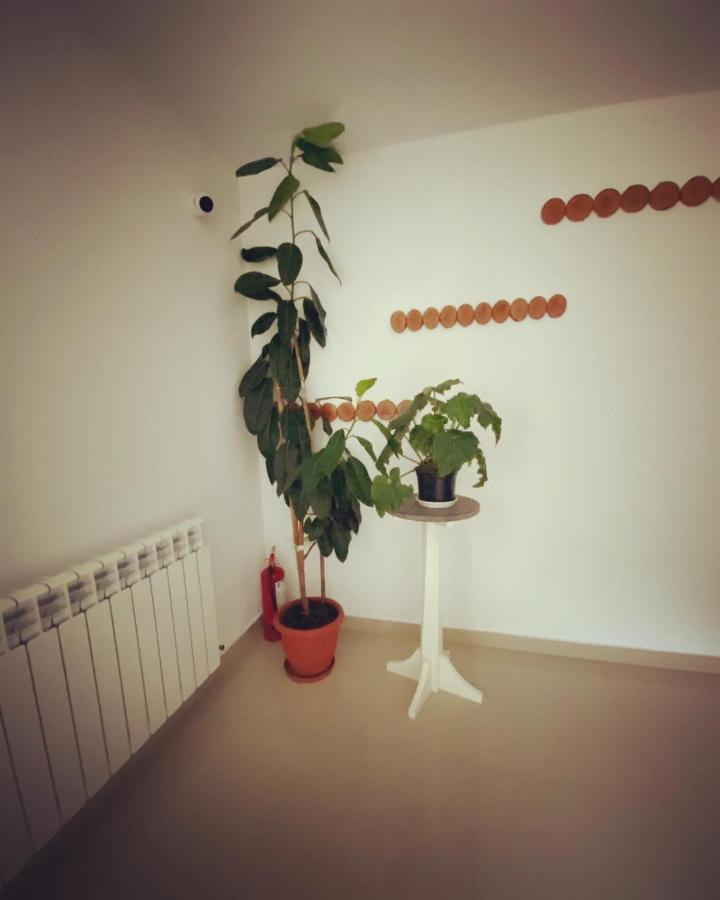 Maison Platanus Voineasa Luaran gambar