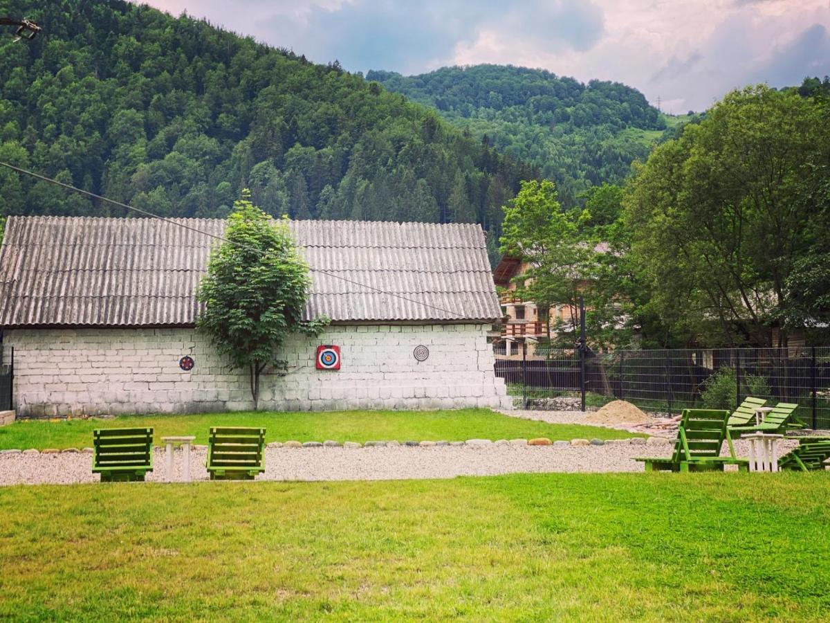 Maison Platanus Voineasa Luaran gambar