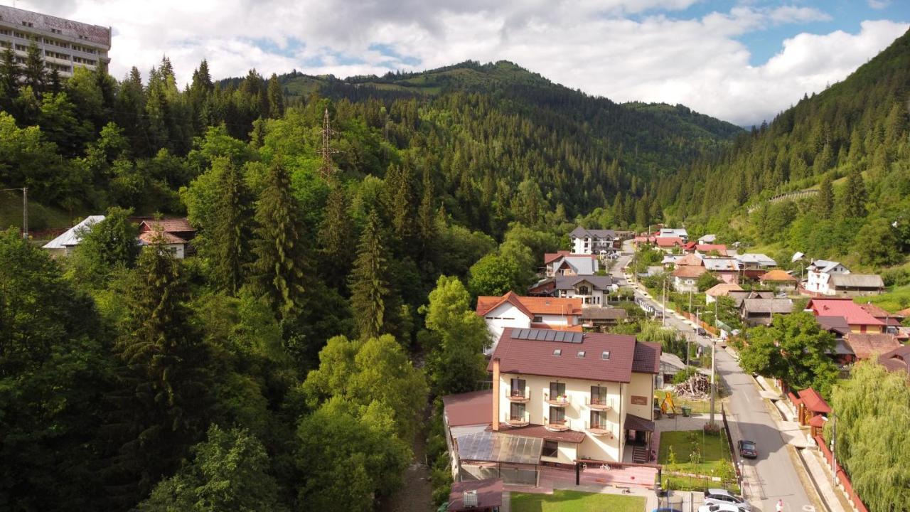 Maison Platanus Voineasa Luaran gambar