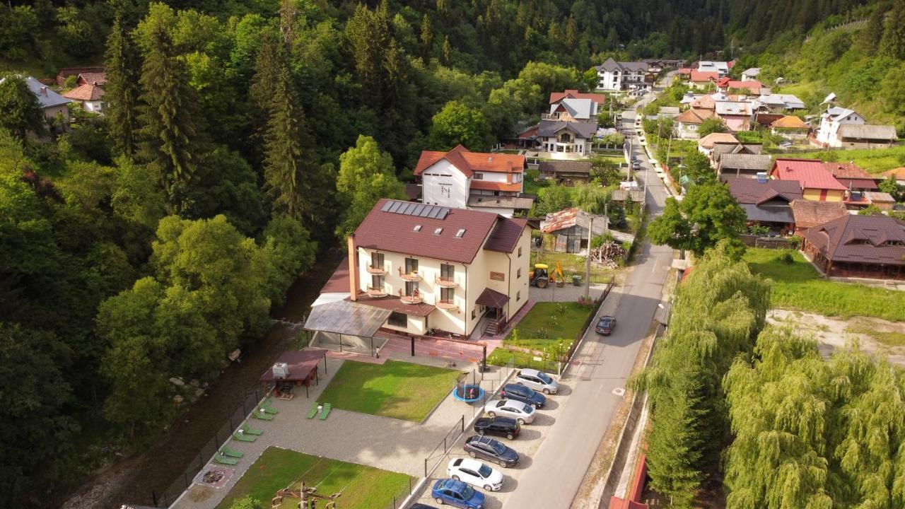 Maison Platanus Voineasa Luaran gambar