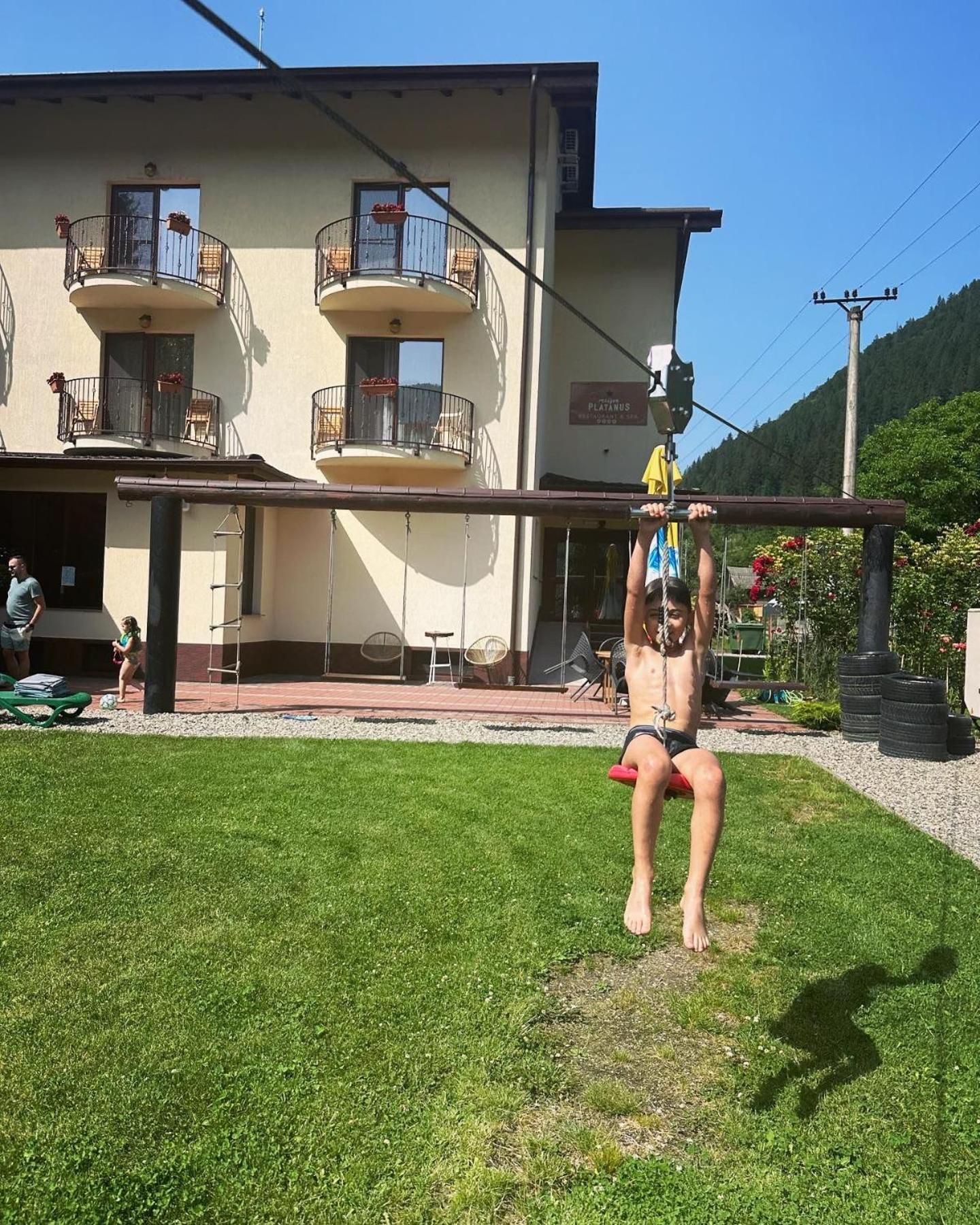 Maison Platanus Voineasa Luaran gambar